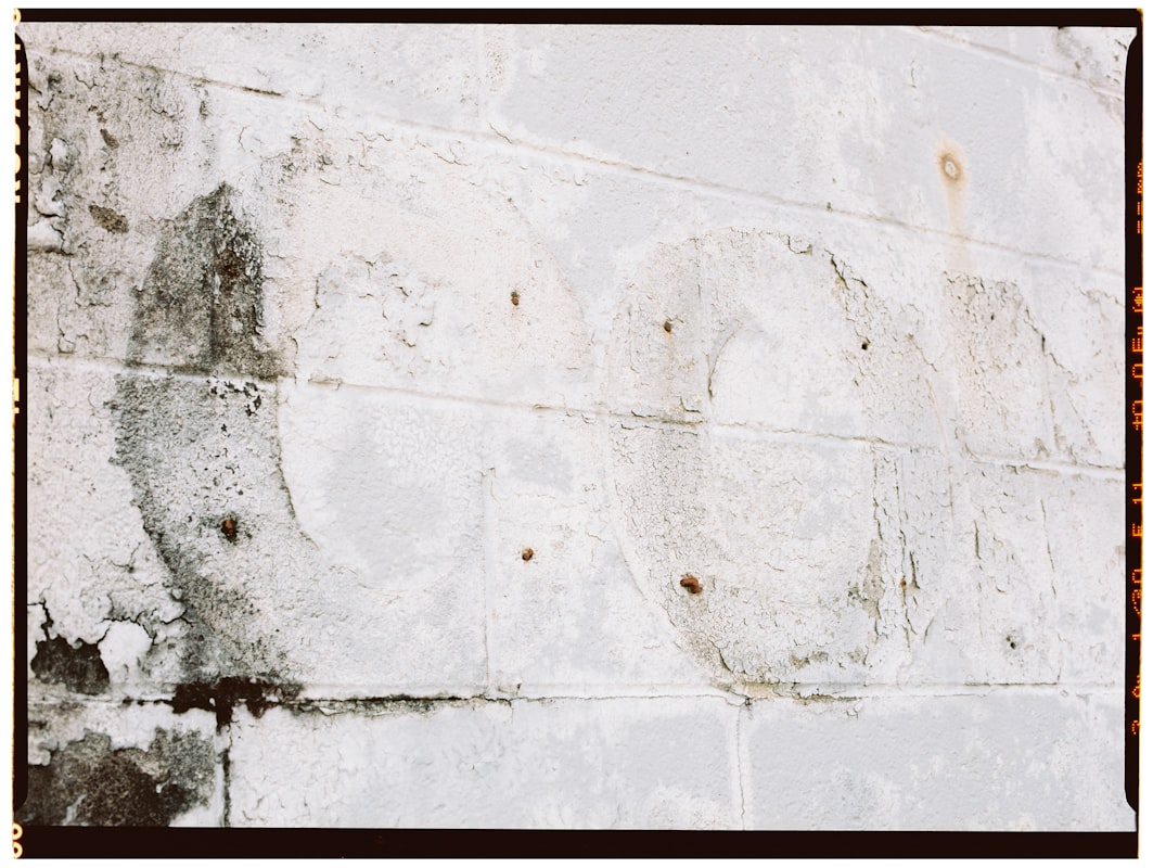 Structural Drying service in Everett, WA