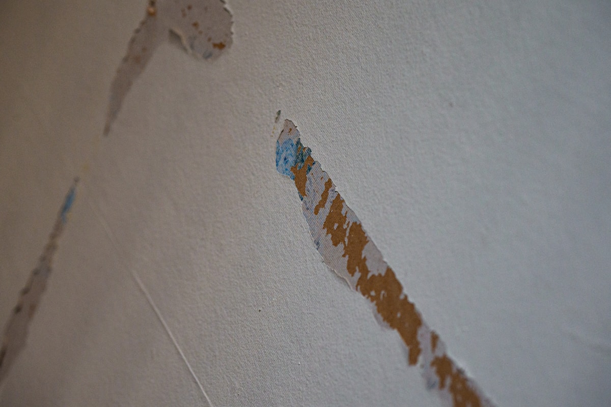 Basement Water Removal service in Everett, WA