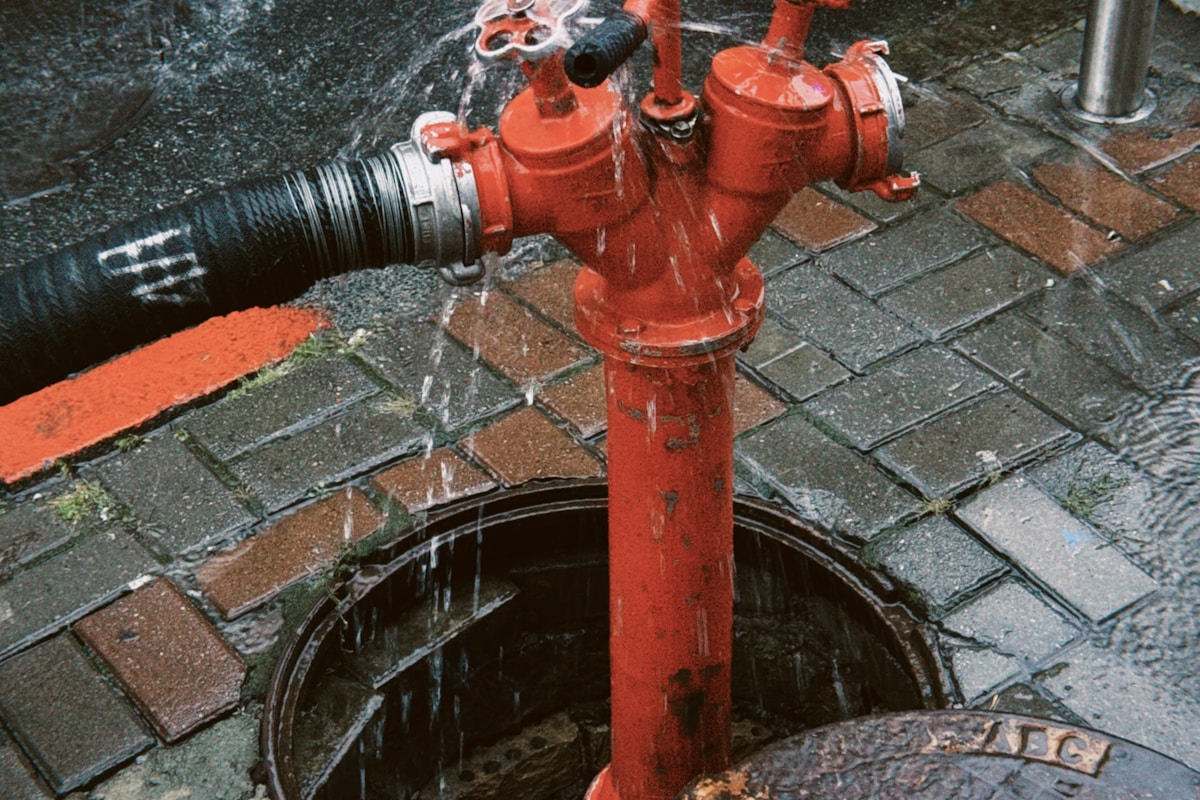 Storm Damage Repair service in Everett, WA